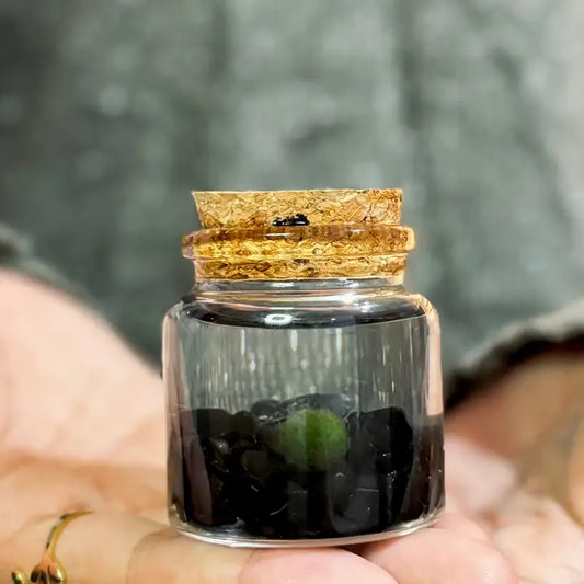 Small Obsidian Moss Ball Terrarium