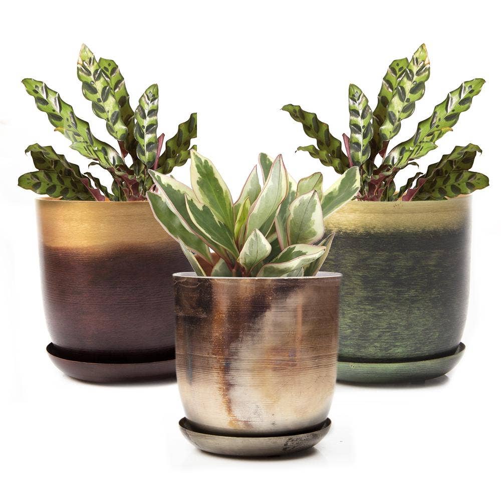 Metal Pot with Drainage Hole Saucer