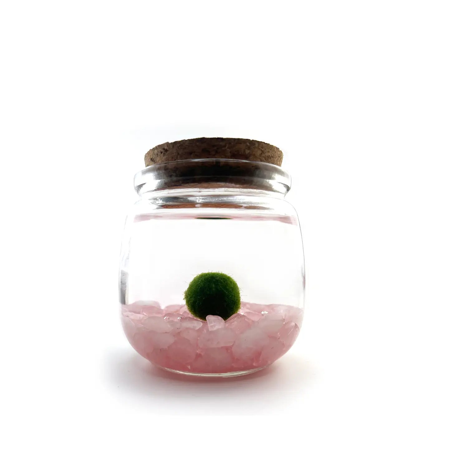 Medium Rose Quartz Moss Ball Terrarium