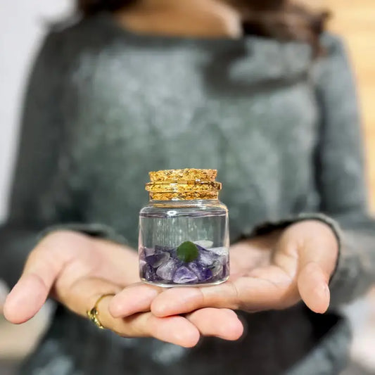 Small Amethyst Gemstone Moss Ball Terrarium