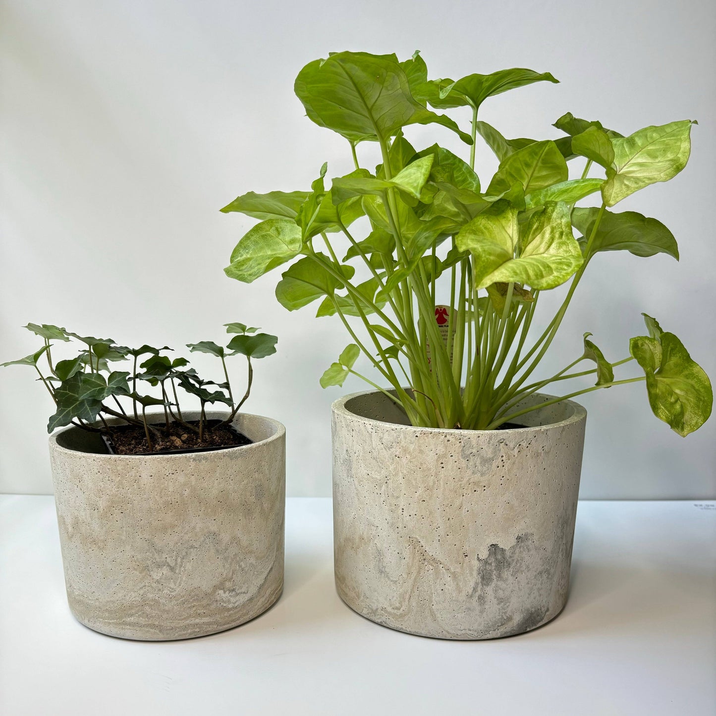 Hera Planter - Concrete