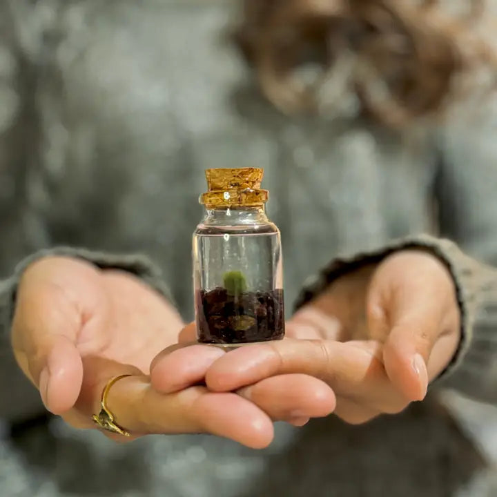 Tiny Garnet Gemstones Moss Ball Terrarium