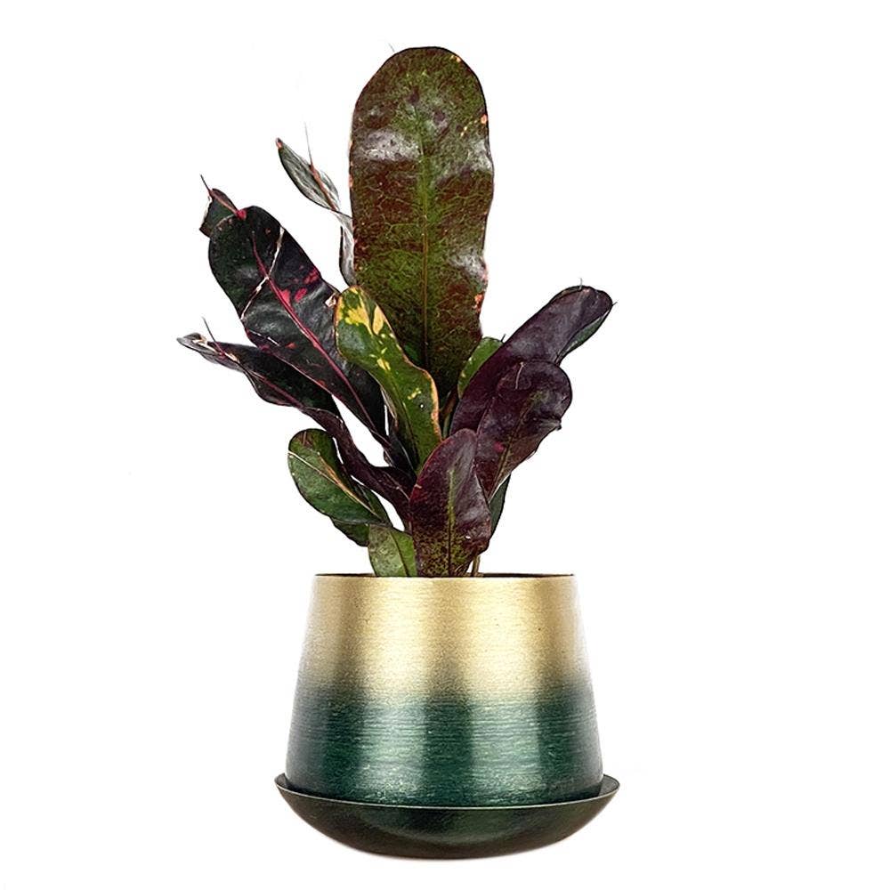 Metal Pot with Drainage Hole Saucer