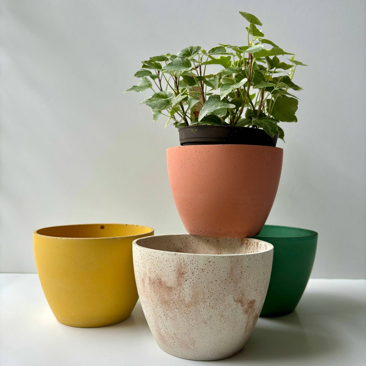 Dana 5” Planter Pot | Flared Cachepot | Cement Planter