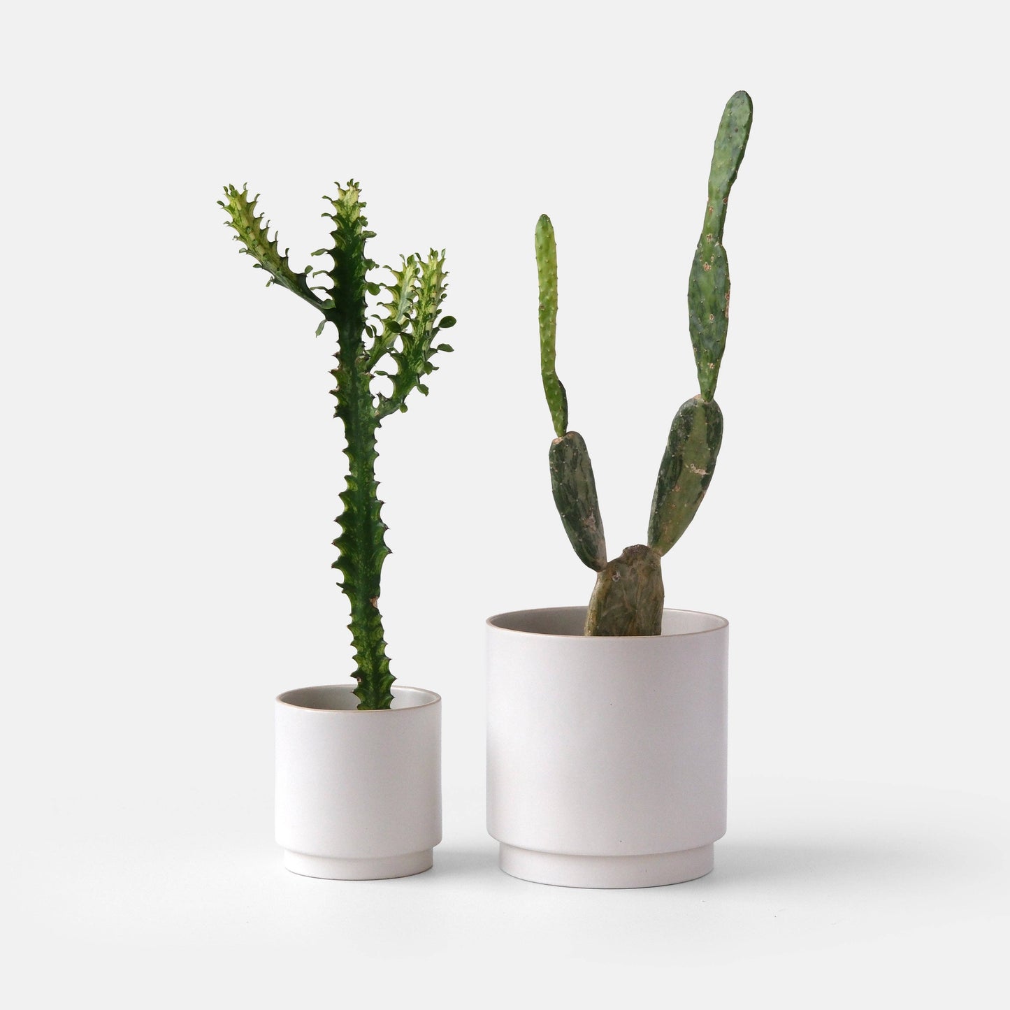 Kolo Planter