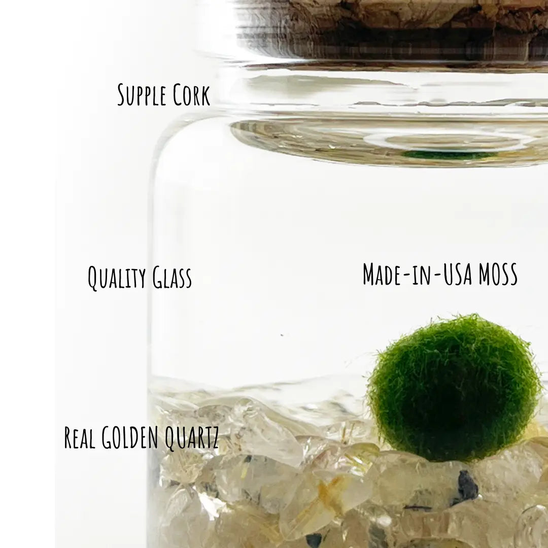 Small Golden Quartz Moss Ball Terrarium