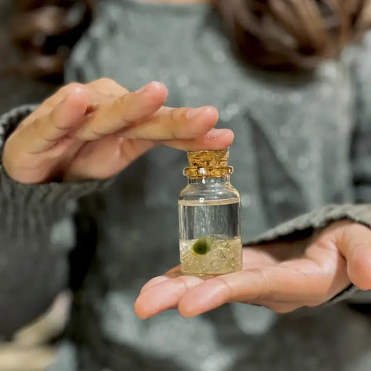 Tiny Golden Quartz Gemstones  Moss Ball Terrarium