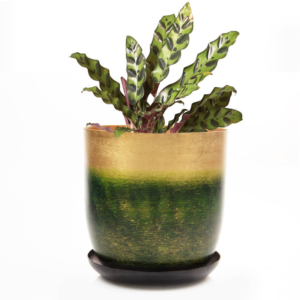 Metal Pot with Drainage Hole Saucer