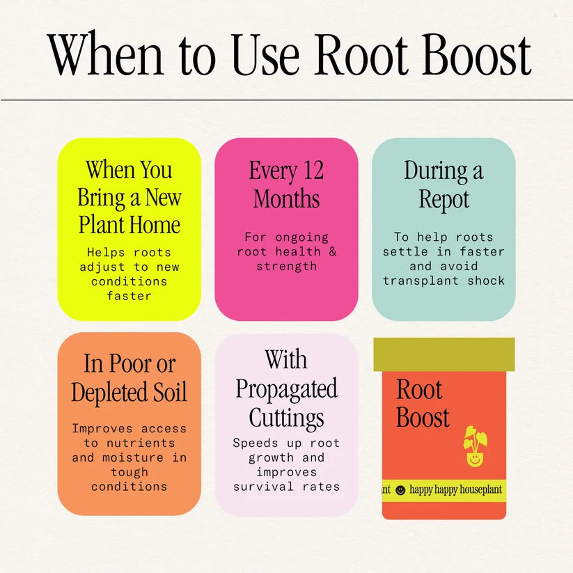 Root Boost