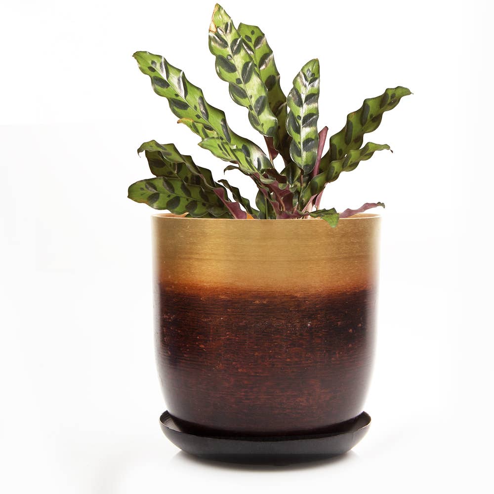 Metal Pot with Drainage Hole Saucer