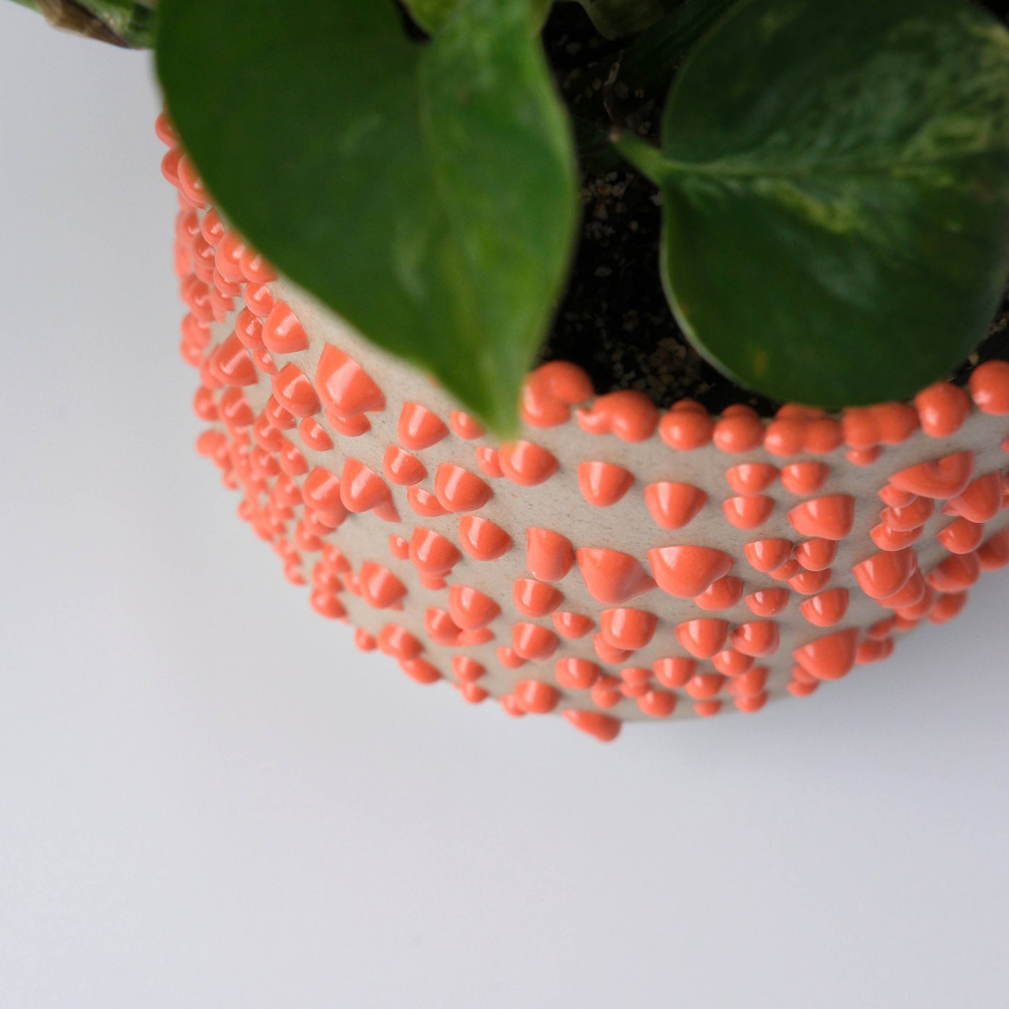 Kolo (Gloopy) Planter