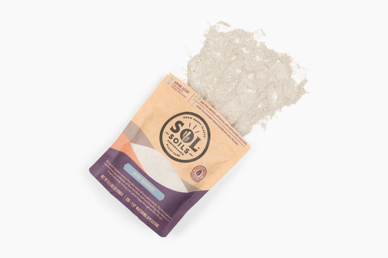 Repot Recovery - Sol Biotics Repotting Shock Treatment