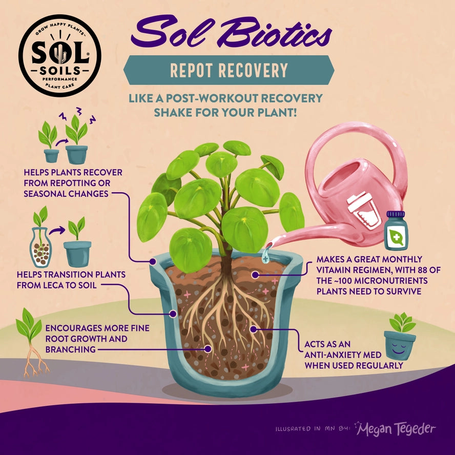 Repot Recovery - Sol Biotics Repotting Shock Treatment