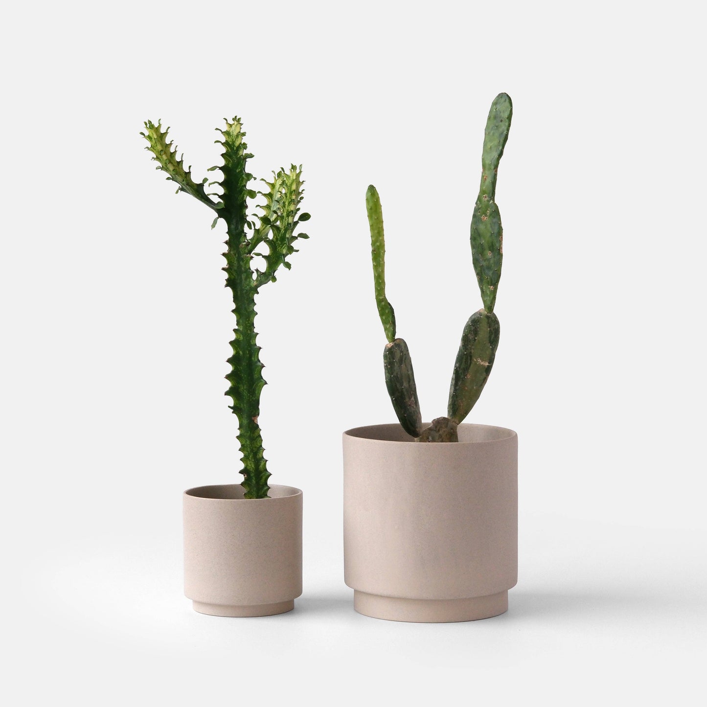 Kolo Planter