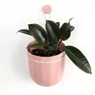 Eco Wall Planter