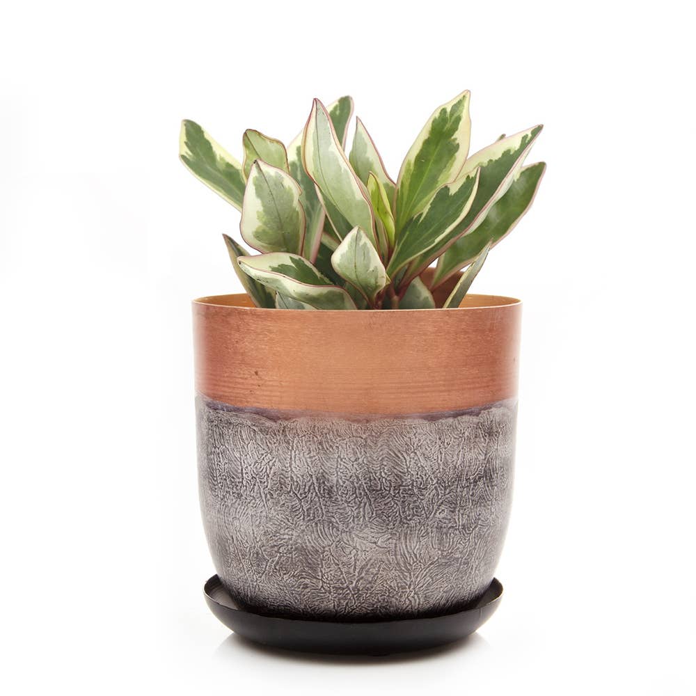 Metal Pot with Drainage Hole Saucer