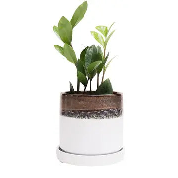 Ceramic Pot Bronze and White