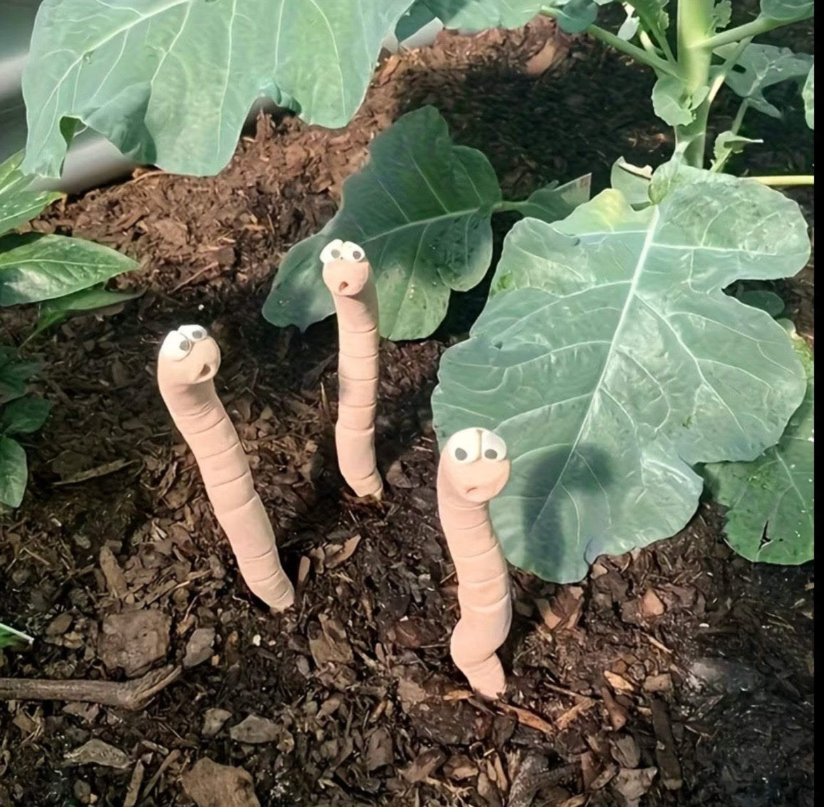 Moisturizer monitors