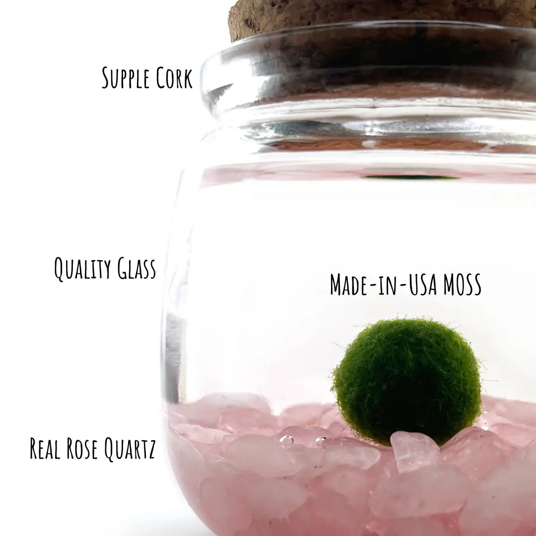 Medium Rose Quartz Moss Ball Terrarium