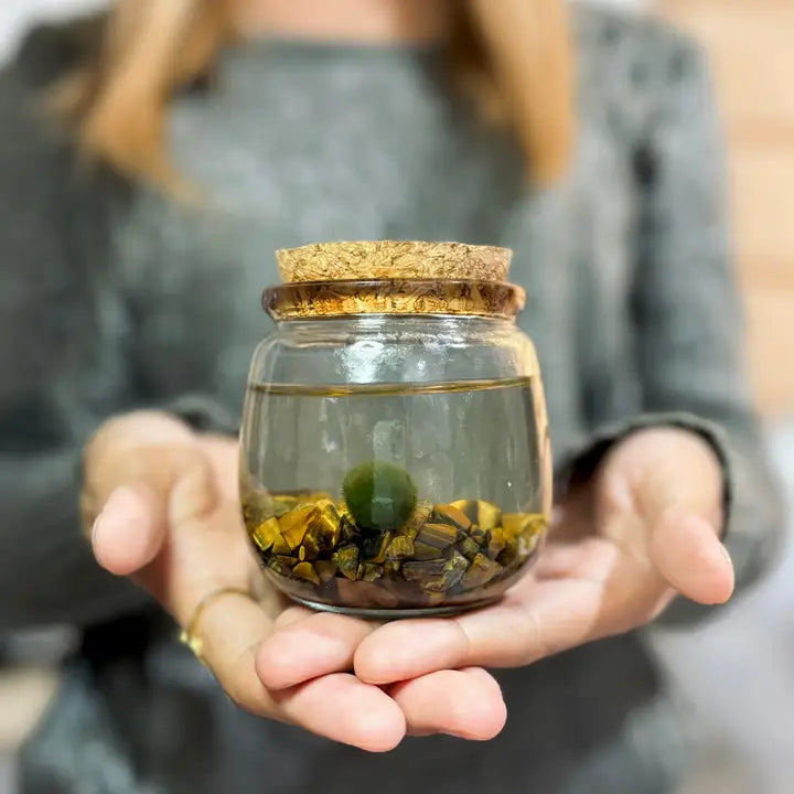 Medium Tiger Eye Moss Ball Terrarium
