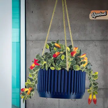 MCR Bowl Hanging Plant