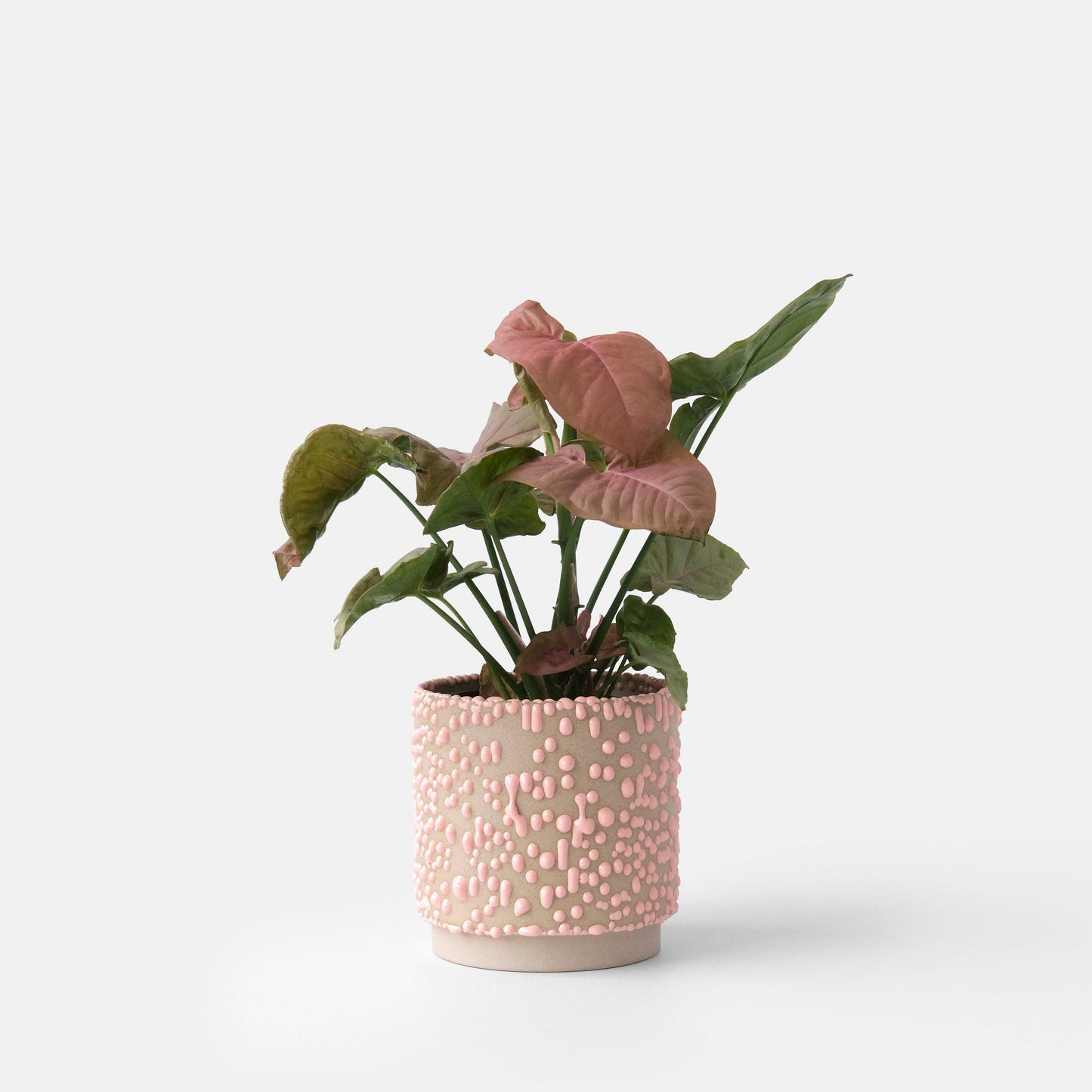 Kolo (Gloopy) Planter