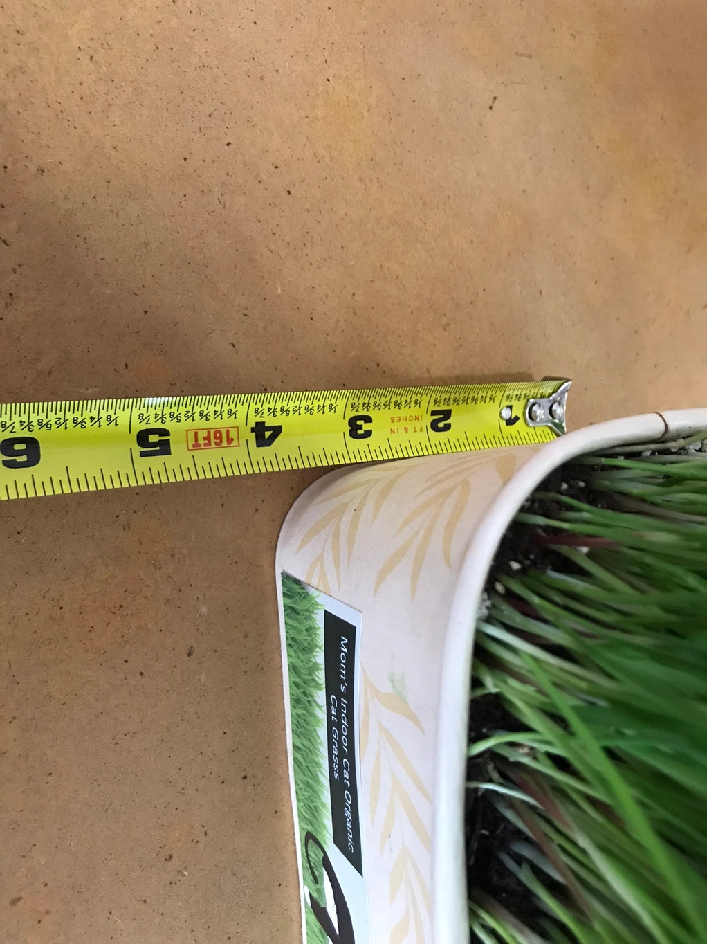 Compostable Cat Grass Bowl
