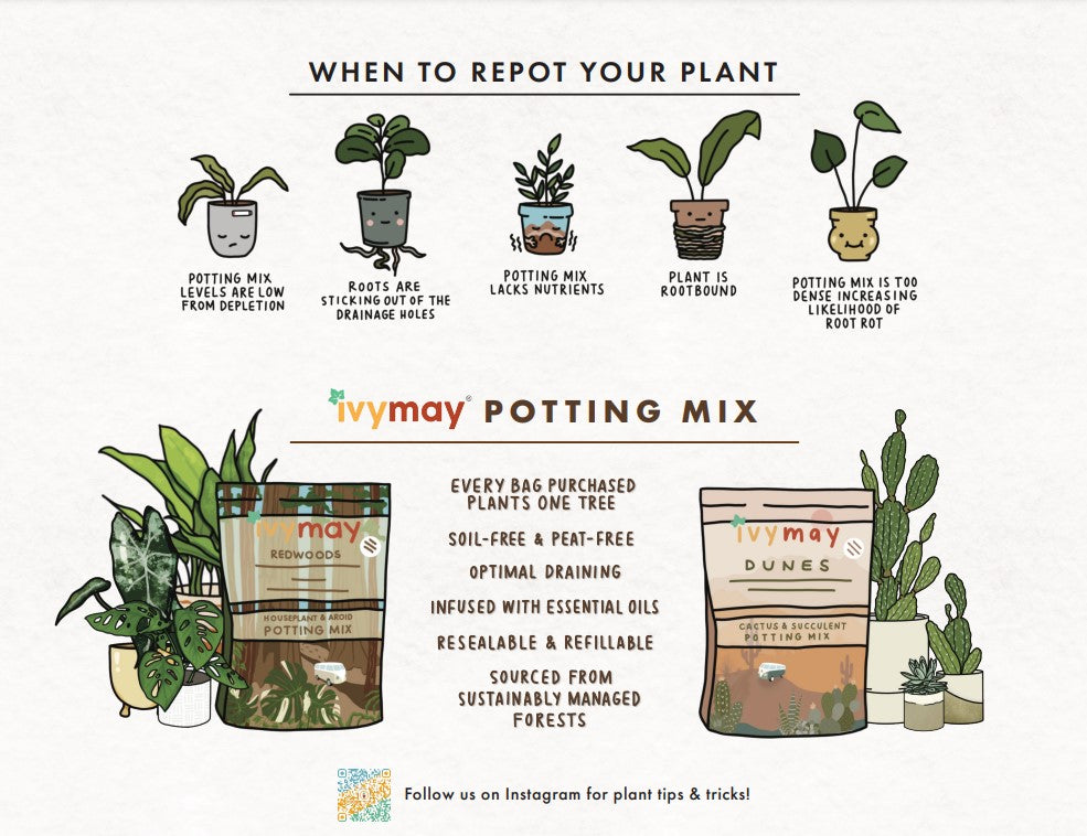 Ivy May Potting Soil Mix - 1/2 Order (4 Qt)