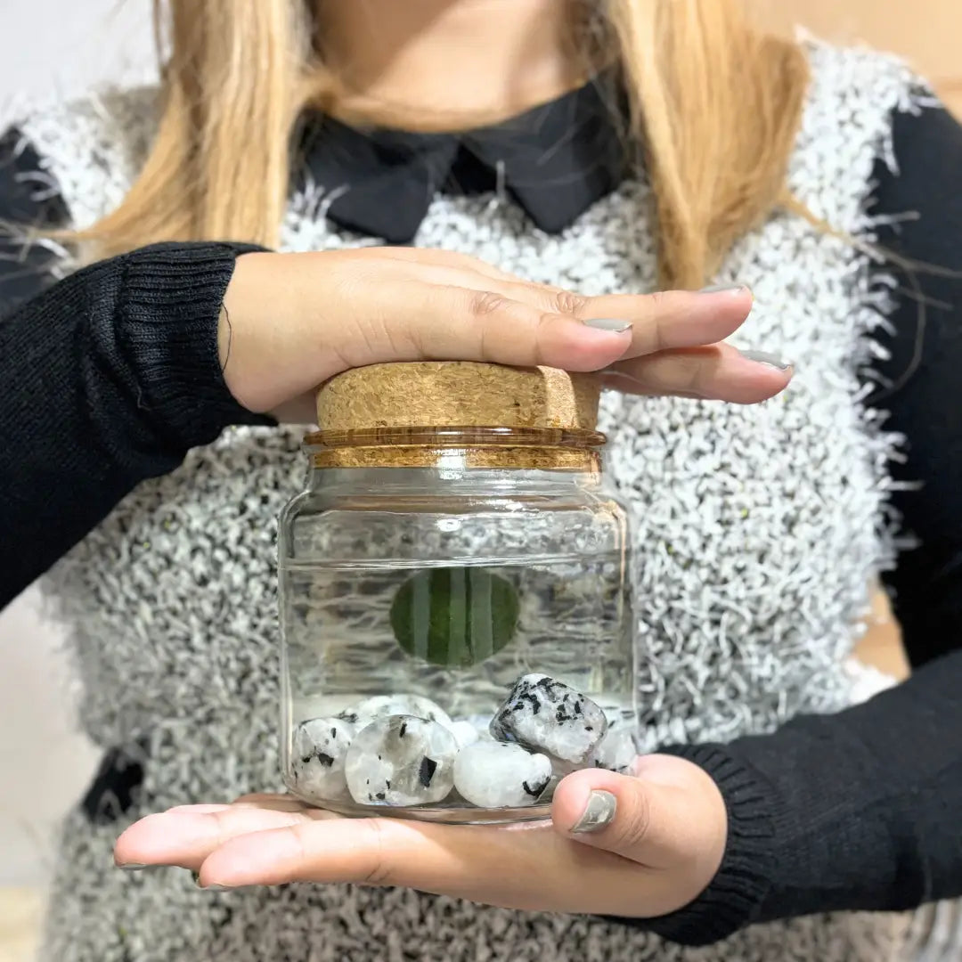 Large Moonstone Gemstones  Moss Ball Terrarium