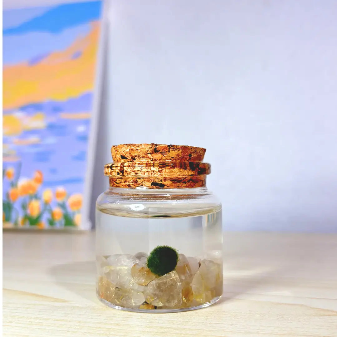 Small Golden Quartz Moss Ball Terrarium