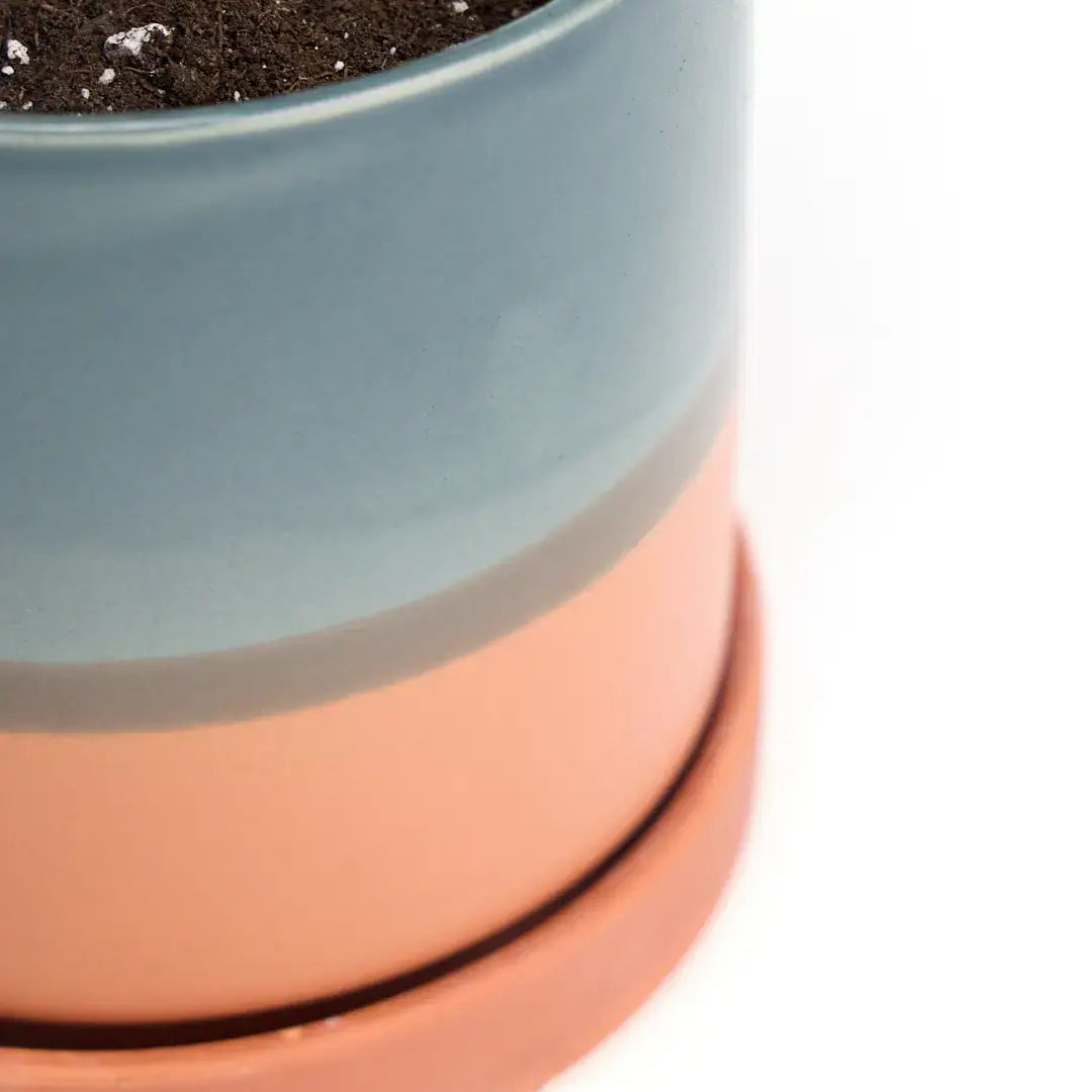 Minute Ceramic Planter