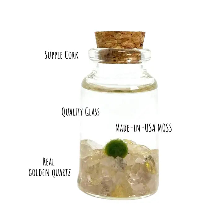 Tiny Golden Quartz Gemstones  Moss Ball Terrarium