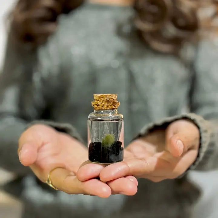 Tiny Obsidian Gemstones Moss Ball Terrarium