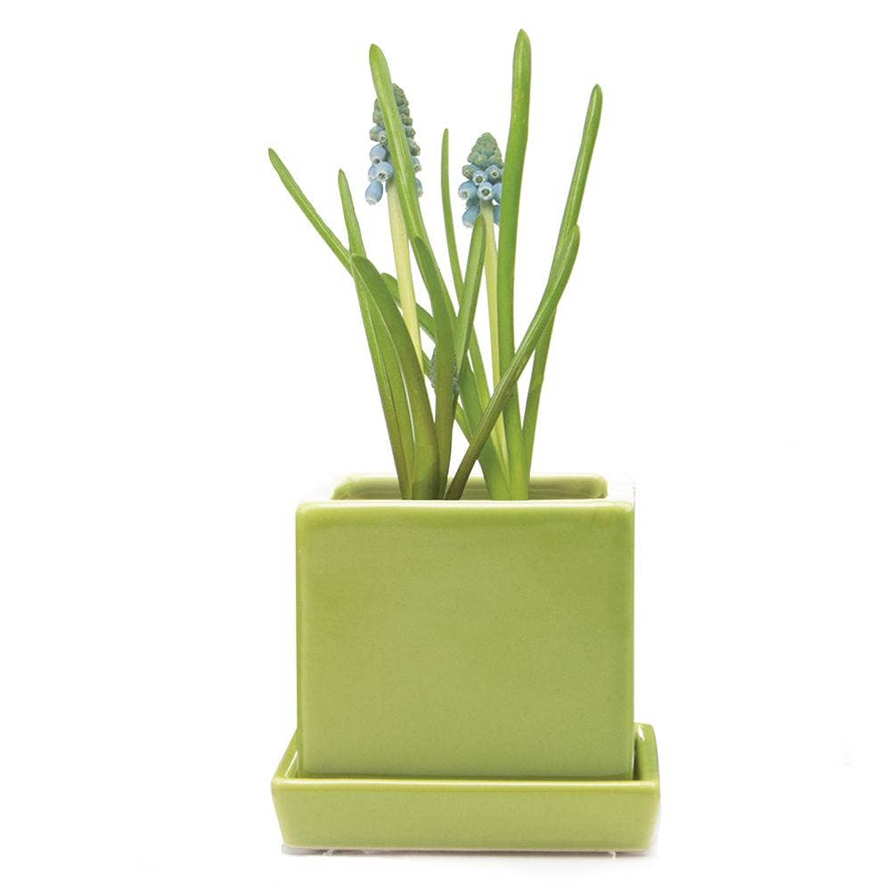 Cube Pot With Saucer And Drainage Hole 60 Plus Colors