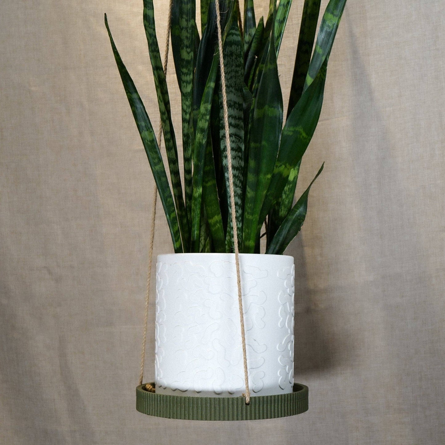 Hanging Plant Tray