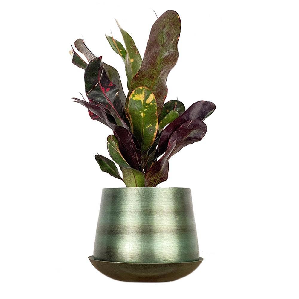 Metal Pot with Drainage Hole Saucer