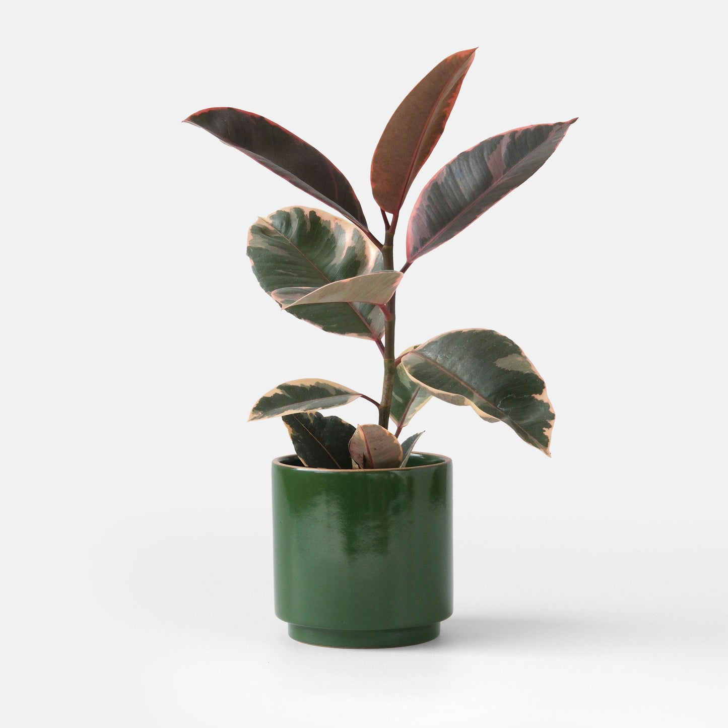 Kolo Planter