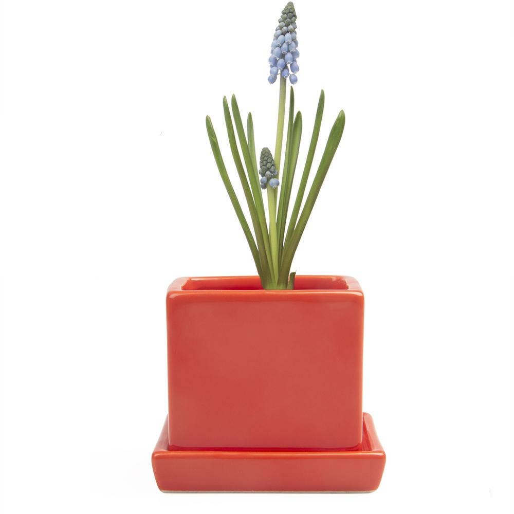 Cube Pot With Saucer And Drainage Hole 60 Plus Colors