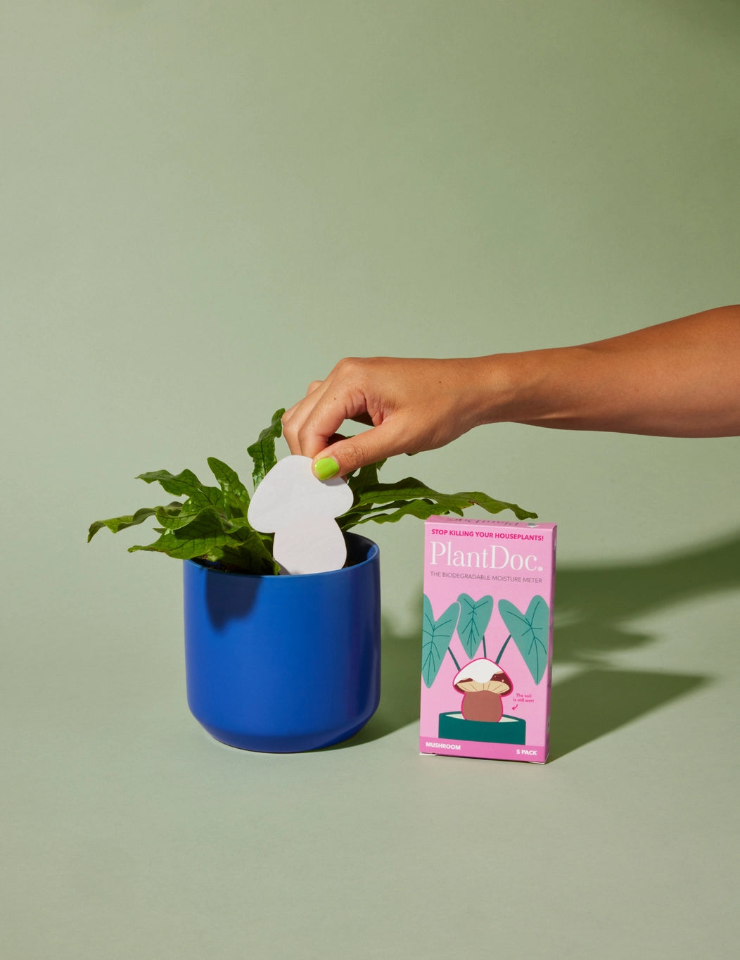 Mushroom PlantDoc: Color-Change Plant Moisture Meter