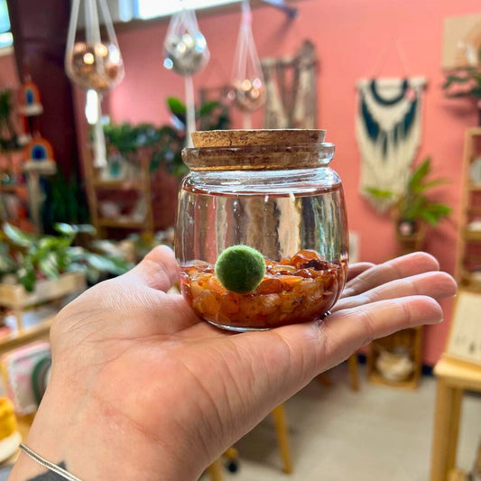 Medium Carnelian Moss Ball Terrarium
