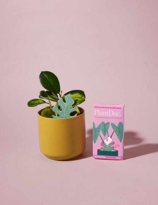 Mini Monstera PlantDoc: Color-Change Plant Moisture Meter