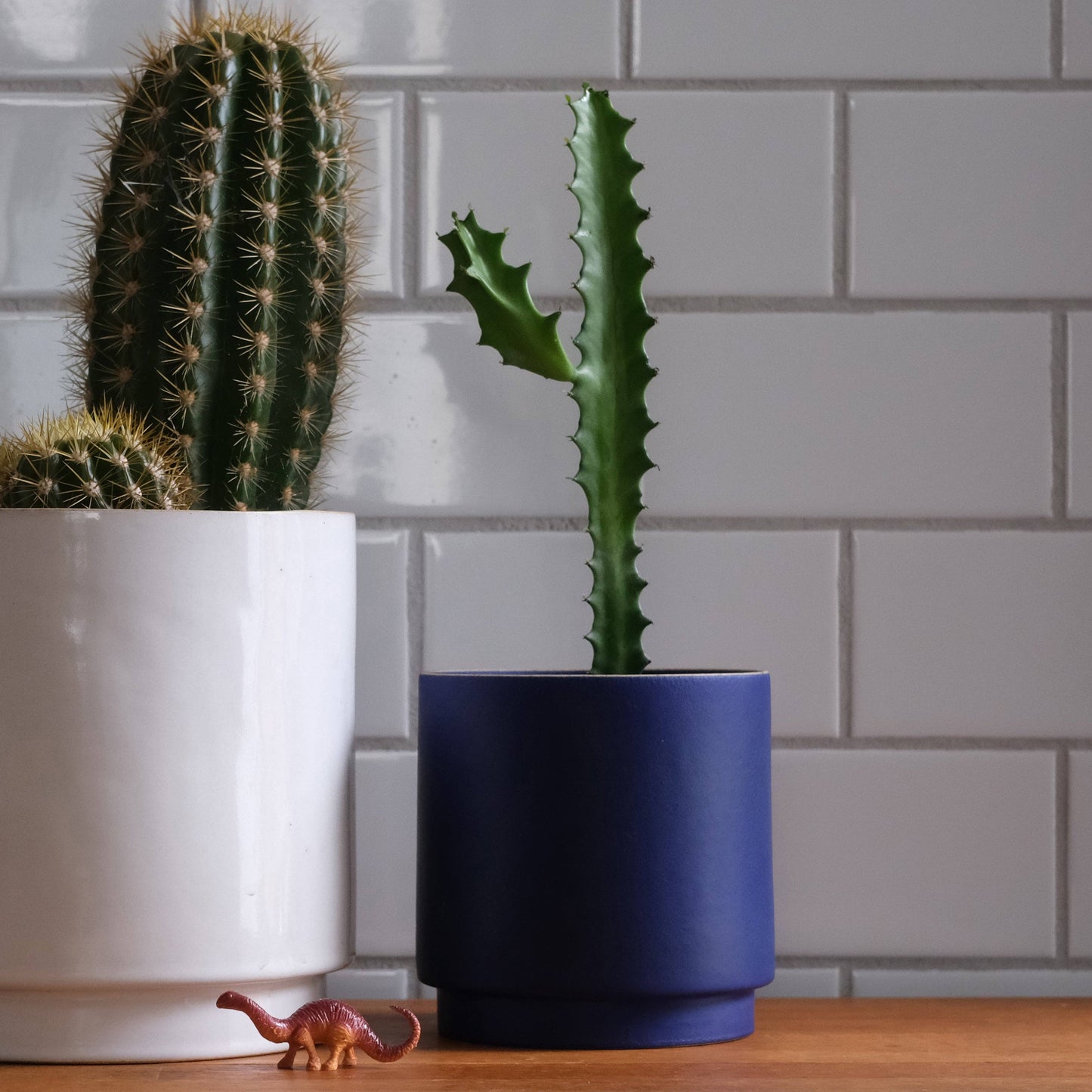Kolo Planter