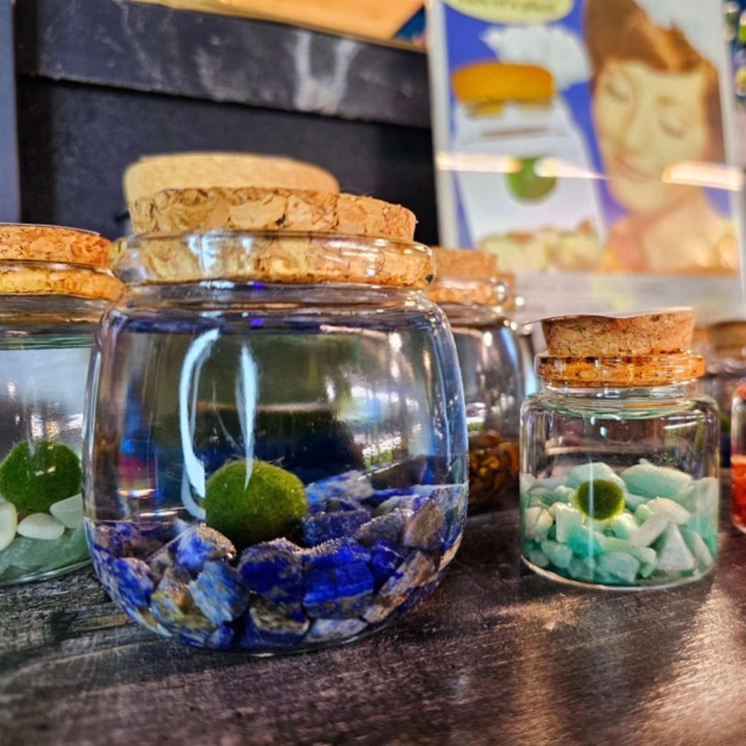 Moss Ball Terrarium Medium Lapis Lazuli