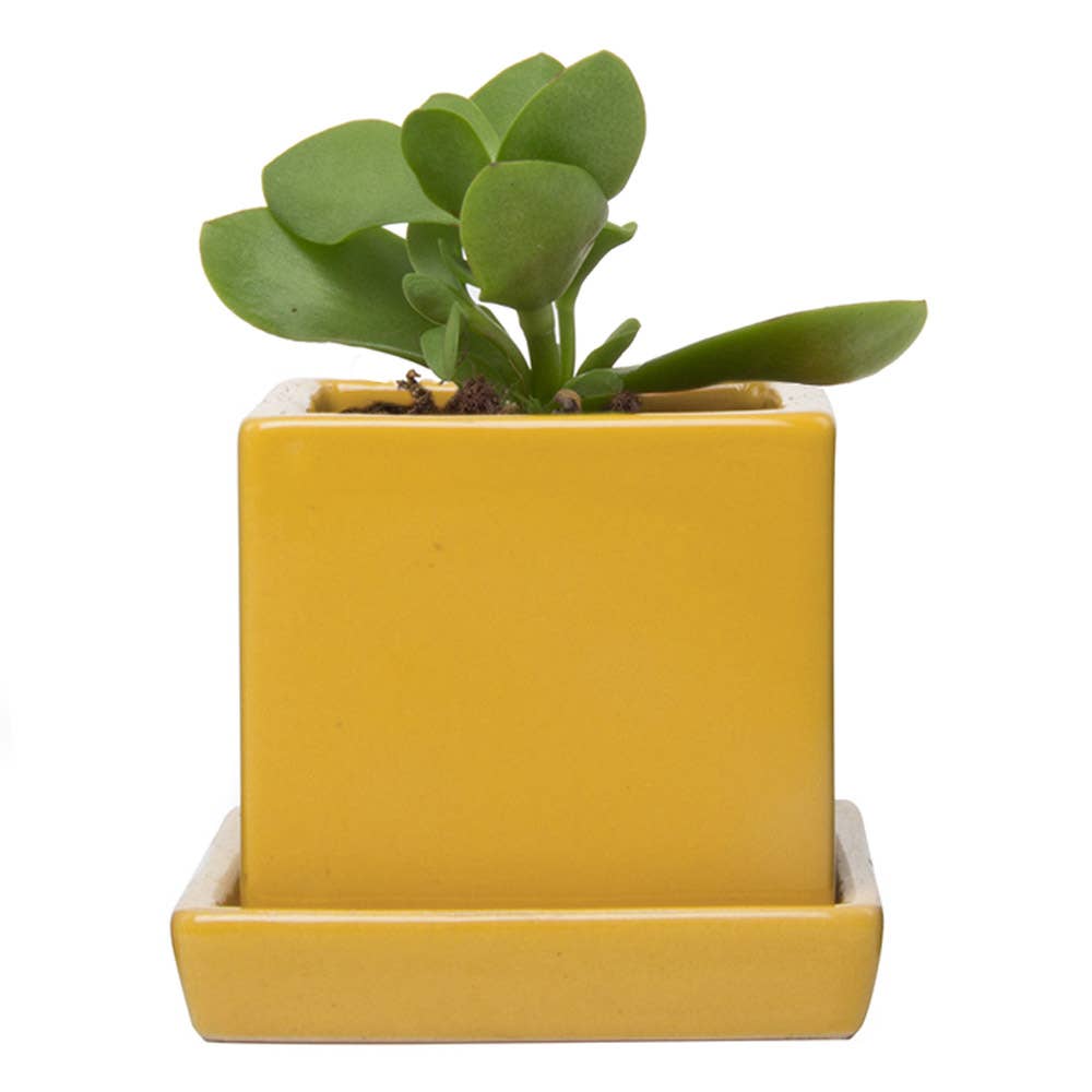 Cube Pot With Saucer And Drainage Hole 60 Plus Colors