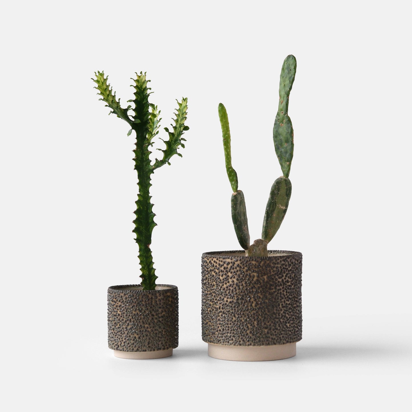 Kolo (Gloopy) Planter