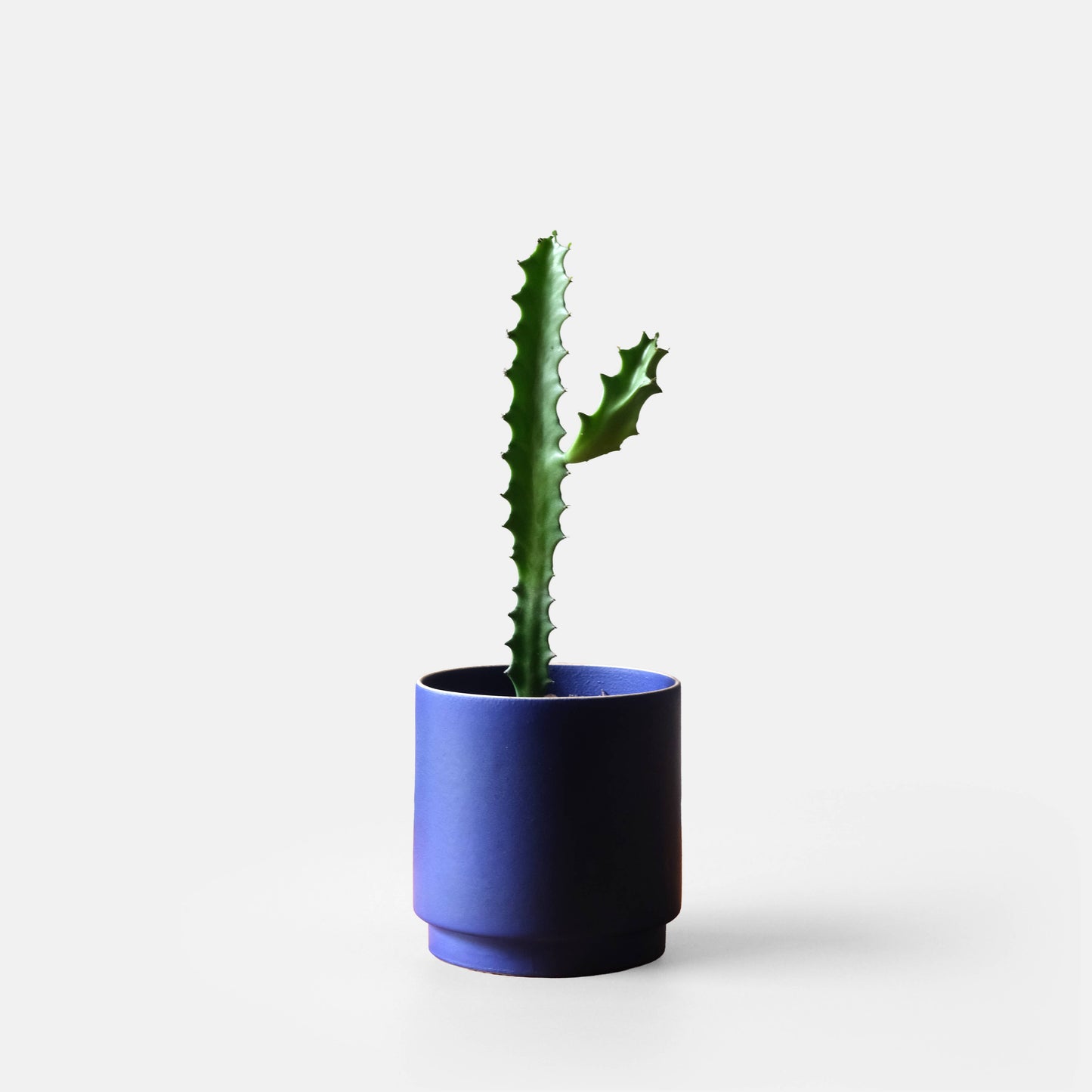Kolo Planter