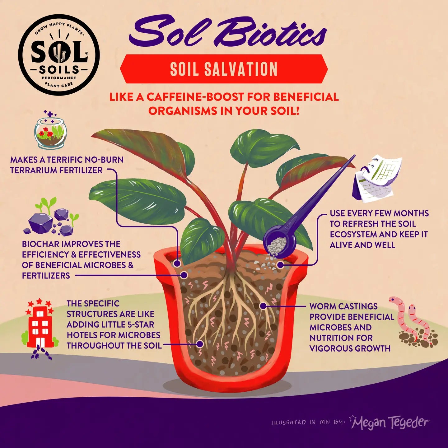 Soil Salvation - Sol Biotics Worm Castings & Biochar