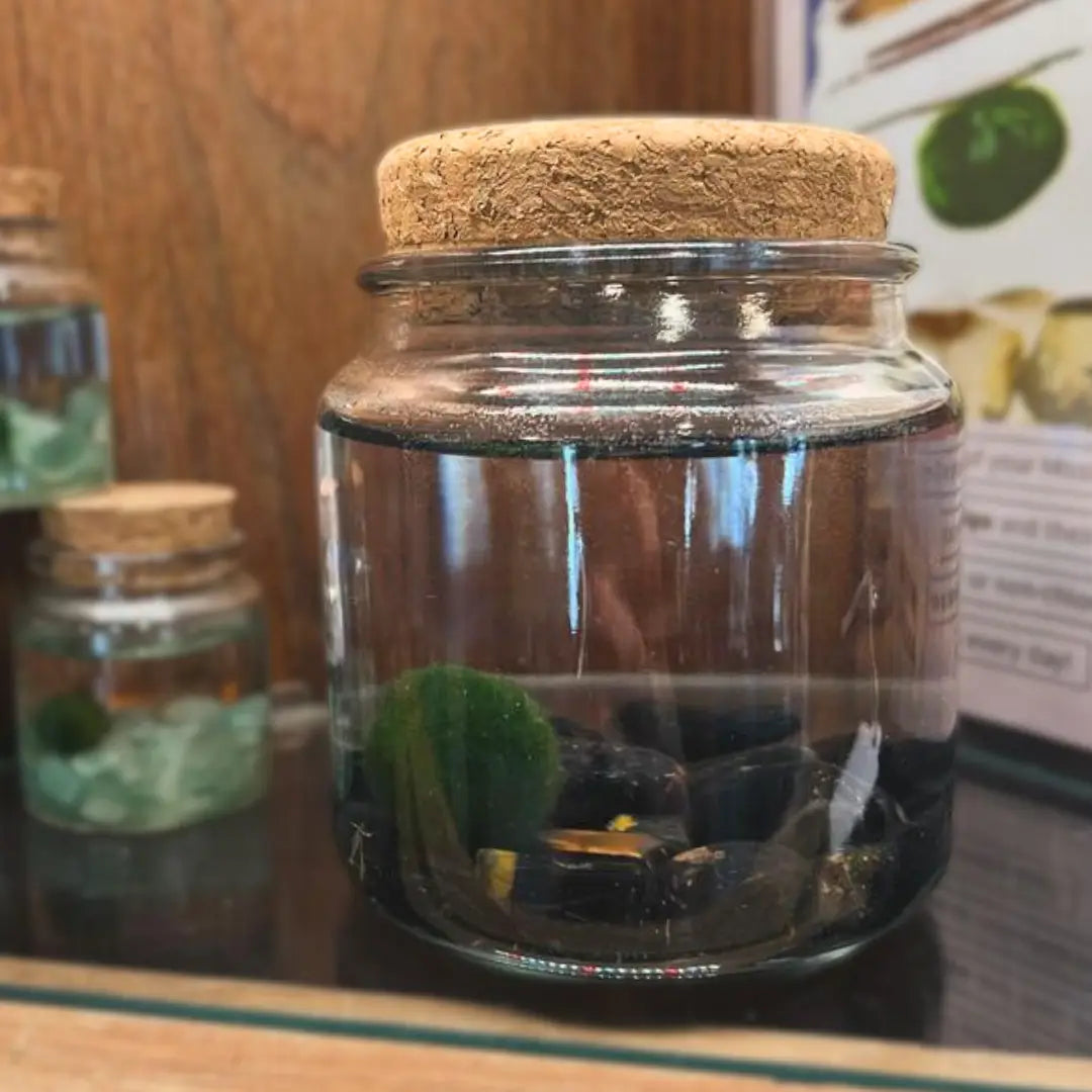 Large Obsidian Moss Ball Terrarium
