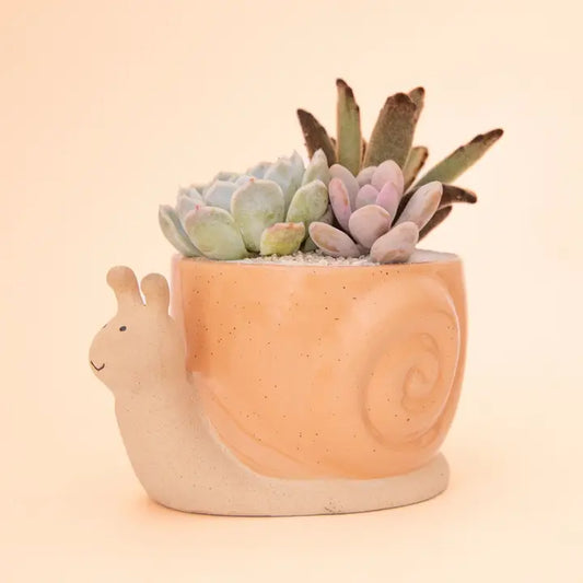 Snail Planter | Sunset - Medium