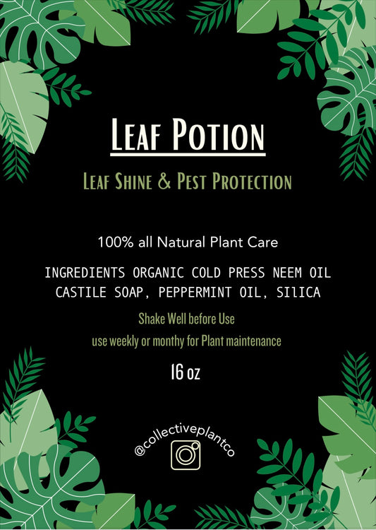 Leaf Potion